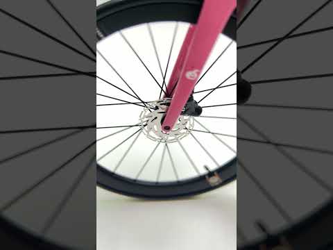 Cervelo S5 Miniatures Model 1:12 Roadbike | Jumbo Visma Lease a Bike | Scale Model | Custom-Made Ultra Realistic