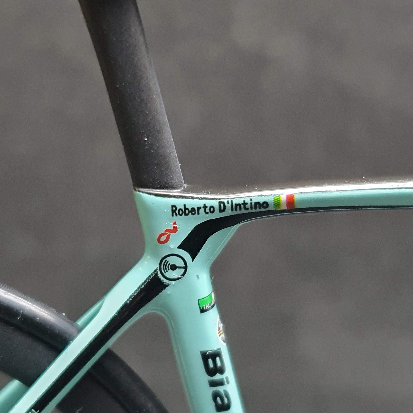 Bianchi Oltre XR4 Specialissima Miniaturas Modelo 1:12 Roadbike | Presente para seu companheiro ou para você mesmo | Modelo em escala | Ultra realista feito sob medida