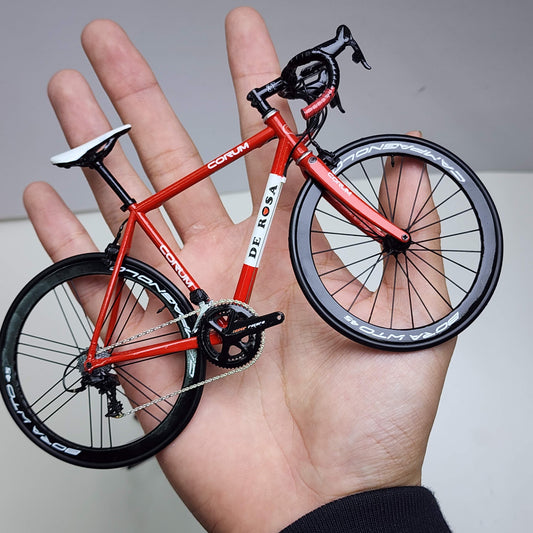 De Rosa Corum custom scale model