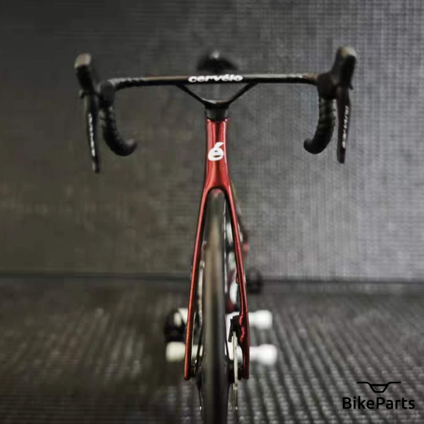 Cervelo S5 Miniatures Model 1:12 Roadbike | Jumbo Visma Lease a Bike | Scale Model | Custom-Made Ultra Realistic